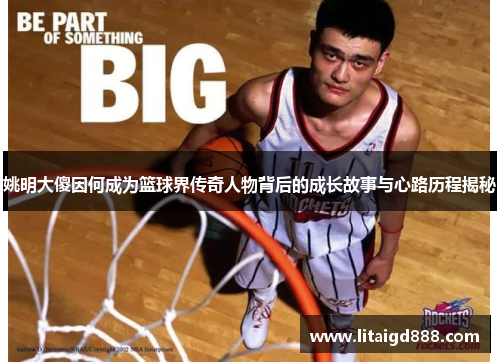 姚明大傻因何成为篮球界传奇人物背后的成长故事与心路历程揭秘