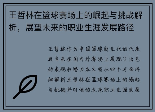 王哲林在篮球赛场上的崛起与挑战解析，展望未来的职业生涯发展路径